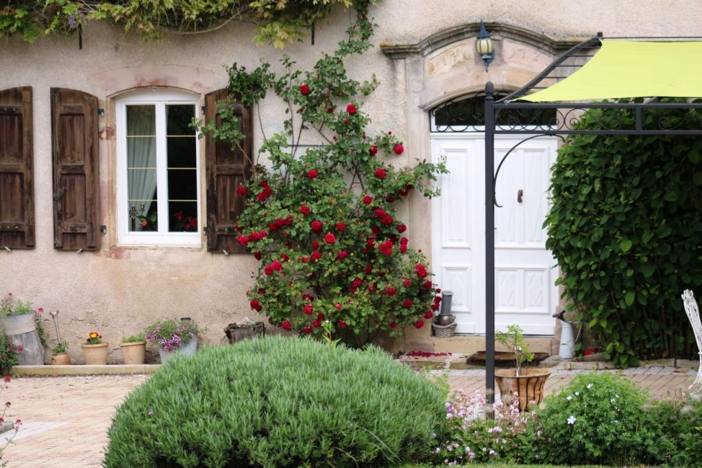 Le Clos D'Albray - Chambres D'Hotes Et Gite Comps-la-Grand-Ville Exterior foto